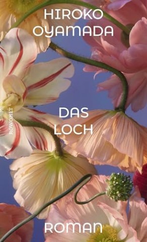 Cover: Oyamada, Hiroko - Das Loch