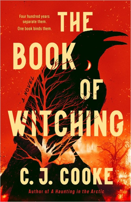 [fantasy] The Book of the Witching by C  J  Cooke