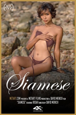 Cover: [Met-Art] Rosah - Siamese mp4