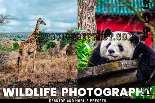 Wildlife - Desktop and Mobile Presets - NNGSCBZ