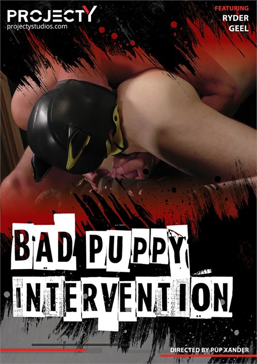 projectYstudios - Bad Puppy Intervention