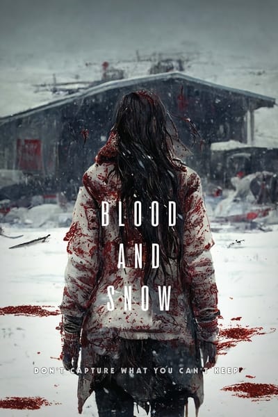 Blood and Snow 2023 German AC3 WEBRip x265-LDO