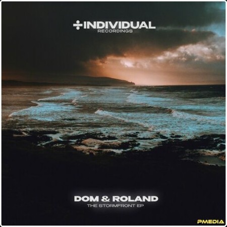 Dom & Roland - The Stormfront (2024) Mp3 320kbps