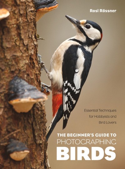 The Beginner's Guide to Photographing Birds: Essential Techniques for Hobbyists an... D1cf5b282fbe1e49f11efa23432a8f8d