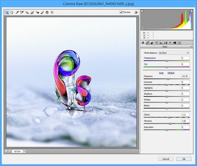 Adobe Camera Raw 17.0 (x64)