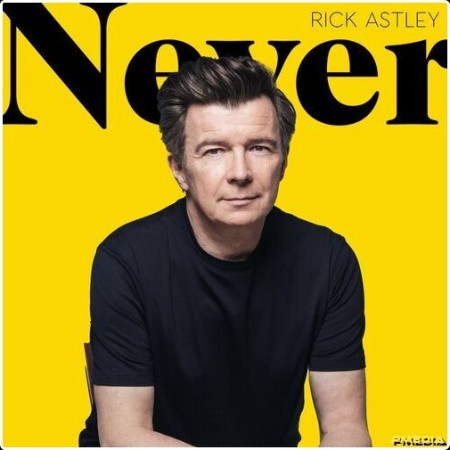 Rick Astley - Never (2024) Mp3 320kbps