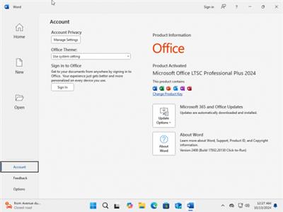 Windows 11 Pro 24H2 Build 26100.2033 (No TPM Required) With Office 2024 Pro Plus Multilingual Preactivated October  2024