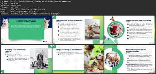 Dog Walking Certification  Course