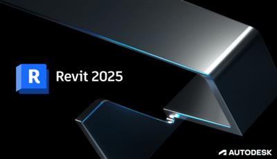 Autodesk Revit 2025.3 Update Only  (x64)