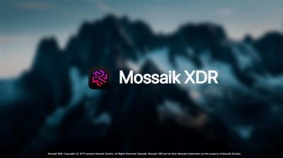 Mossaik XDR Pro  2.3.26