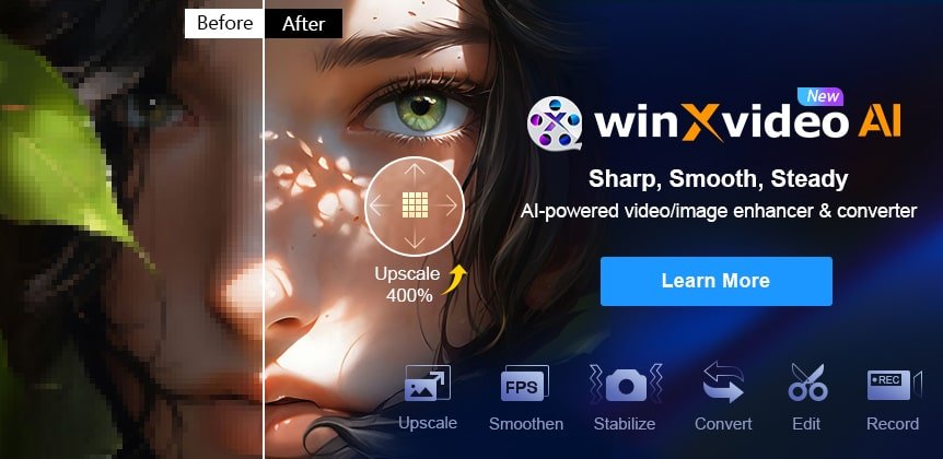 Winxvideo AI 3.6 (x64) Multilingual