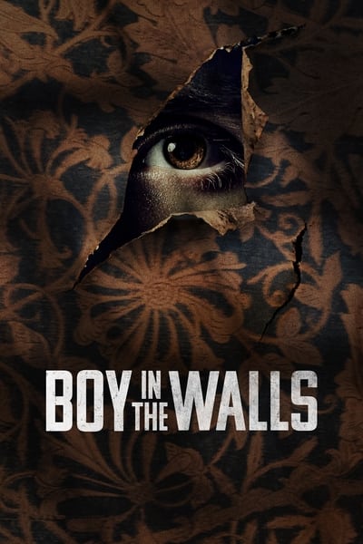 Boy in the Walls (2023) 1080p HULU WEB-DL HE-AAC 2 0 H 264-PiRaTeS