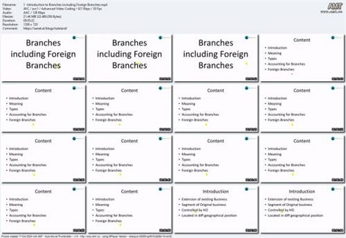 Branch Accounting From Domestic to Foreign  Operations B4085c7eddfef90a5b3c7130a710a62e