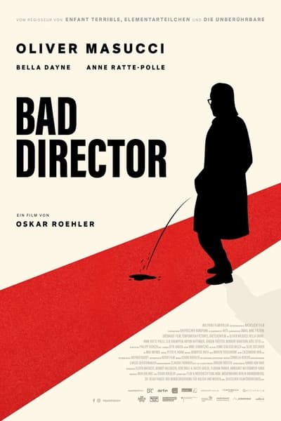 Bad Director 2024 German AC3 1080p WEBRip H265-LDO