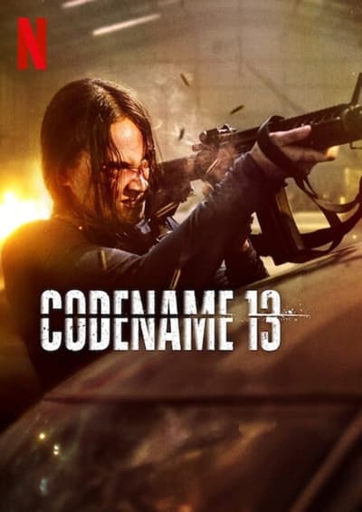 Codename 13 2024 German ML AC3 720p NF WEBRip x265-LDO