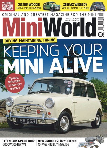 MiniWorld - November 2024