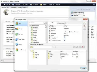 Cerberus FTP Server Enterprise 2024.3 (x64)