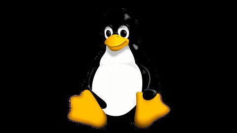 Linux-Master-Class  (2024) D2723d193ddb884709615d28320fa6cf