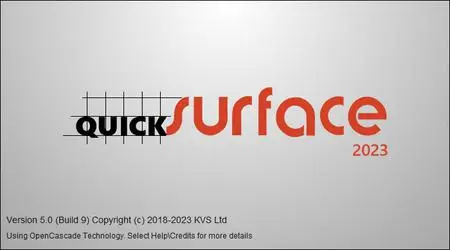 QuickSurface 2024 v6.0.99 (x64)