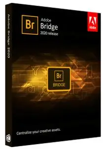 Adobe Bridge 2025 v15.0 Multilingual (x64) 