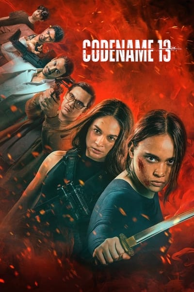 Codename 13 2024 German AC3 WEBRip x265-LDO