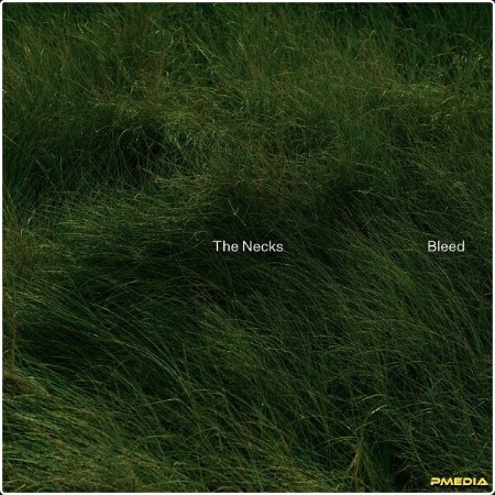 The Necks - Bleed (2024) [24Bit-48kHz] FLAC