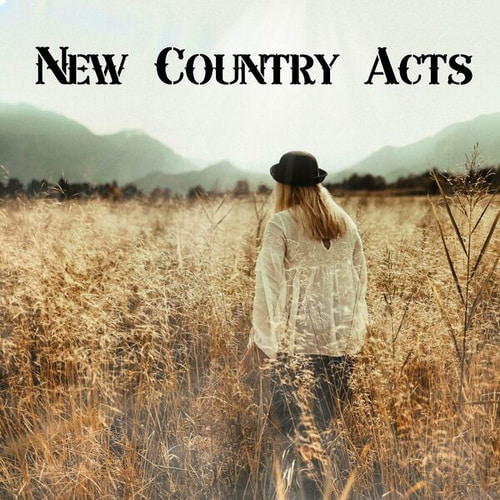 New Country Acts (2024) FLAC