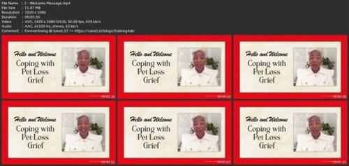 Coping With Pet Loss  Grief Ccb1a52515bd6458f9b18a324b3d8682