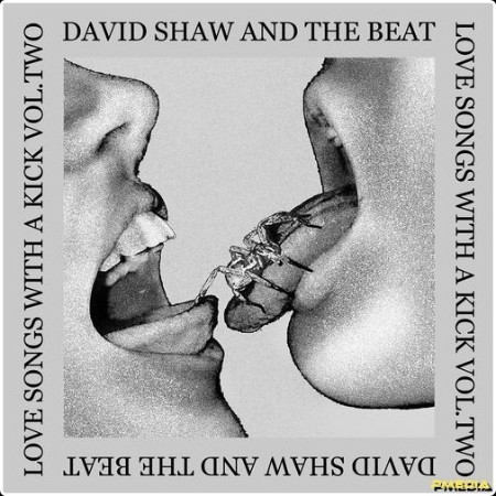 David Shaw And The Beat - Love Songs With A Kick Vol  Two (2024) Mp3 320kbps