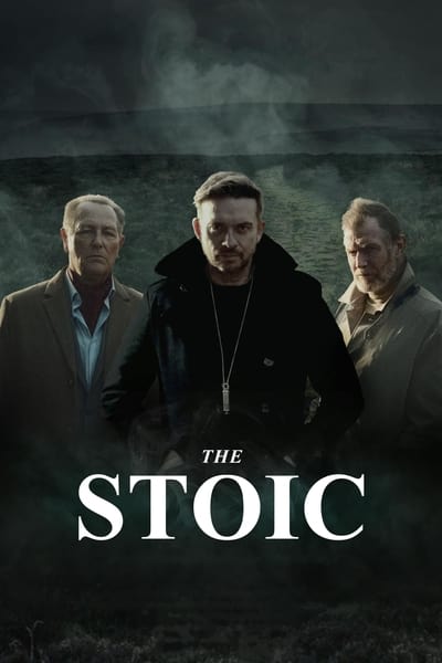The Stoic (2024) 1080p AMZN WEBRip DDP5 1 x265 10bit-GalaxyRG265