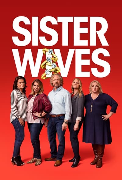 Sister Wives S19E06 720p HEVC x265-MeGusta