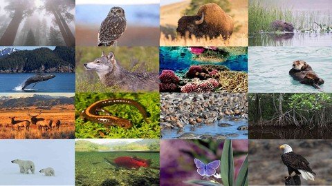 Biodiversity Conservation  Understanding, Threats & Solution 5f25b0a76dc8b193a2abfb133348d1b8