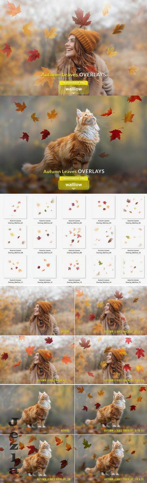 Fall Autumn Leaves Photo Overlays - 287442969