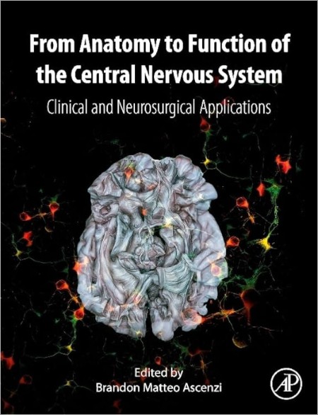 Ascenzi B  From Anatomy to Function of the Central Nervous System   2024