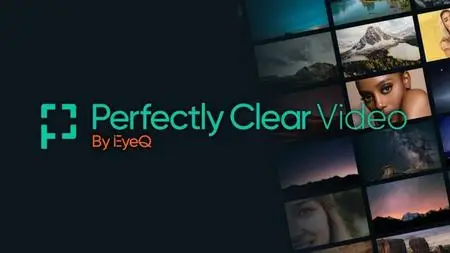 Perfectly Clear Video 4.6.1.2701 (x64)