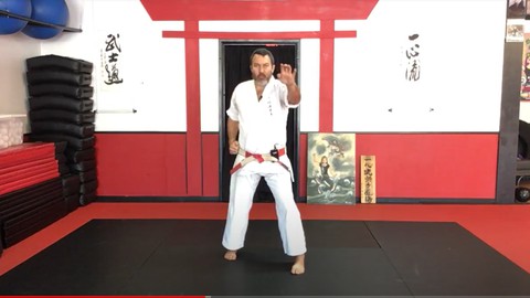 Dissect The Dissection Of Isshinryu  Naihanchi Kata Bunkai