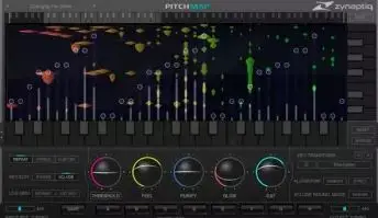 Zynaptiq PITCHMAP v1.9.2
