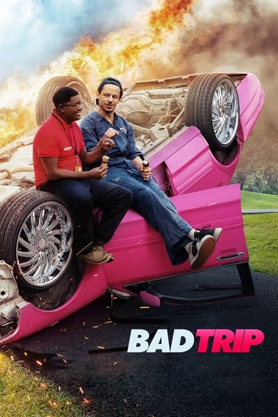 Bad Trip (2021) 540p NF WEB-DL DDP5 1 H 264-NINJACENTRAL 595247fef46fc601d46f80365045879f