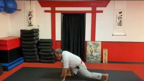 Dissect The Dissection Of Isshinryu  Naihanchi Kata