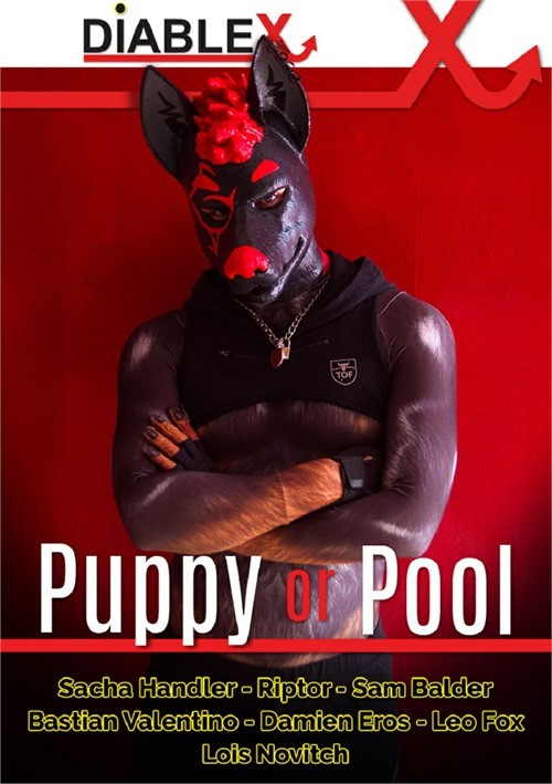 DiableX - Puppy or Pool