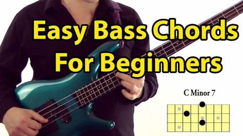 Bass Guitar Lessons For Beginners