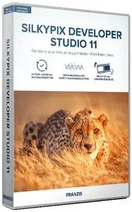 SILKYPIX Developer Studio 11.1.16 (x64)