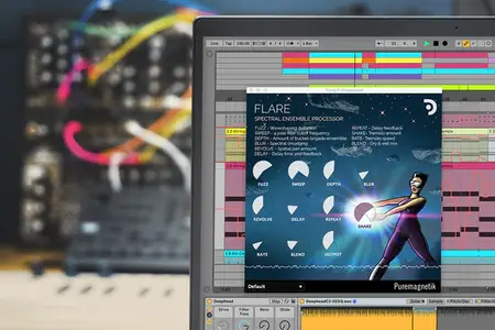 Puremagnetik Flare v2024.10 (Win/macOS)