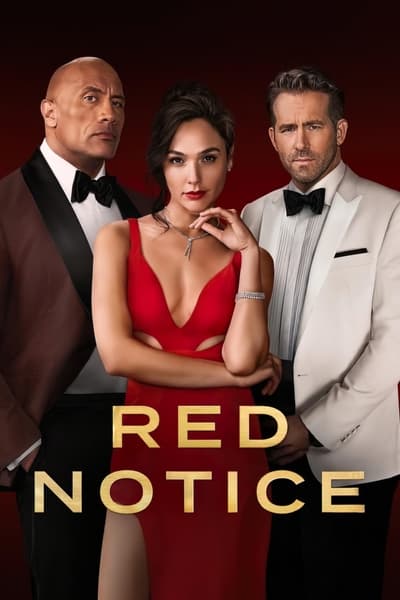 Red Notice (2021) 1080p NF WEB-DL DDP5 1 H 264-NINJACENTRAL