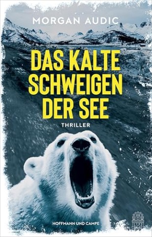 Cover: Morgan Audic - Das kalte Schweigen der See