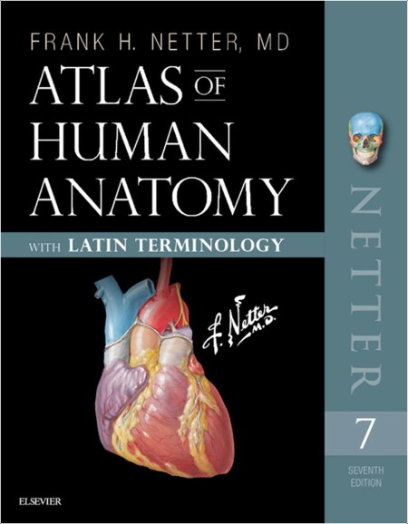 Netter F  Atlas of Human Anatomy with Latin Terminology 7ed 2019