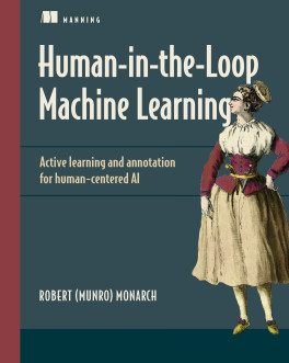 Human-in-the-Loop Machine Learning, Video Edition