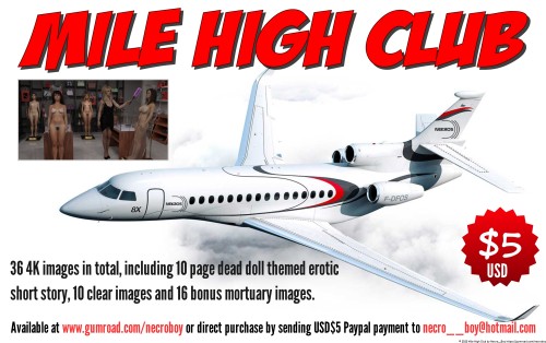 Neroboy - Mile High Club 3D Porn Comic