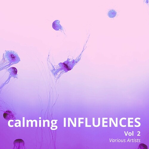 Calming Influences Vol 2 (2024) FLAC