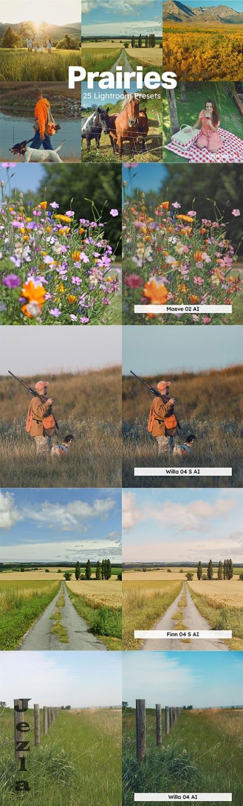 20 Prairies Lightroom Presets LUTs - 287591669